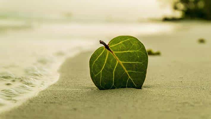 We acknowledge that we only have one mother earth needs us to protect.